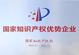 2019年(nian) 國(guo)傢(jia)知識産(chan)權優(you)勢(shi)齊(qi)業